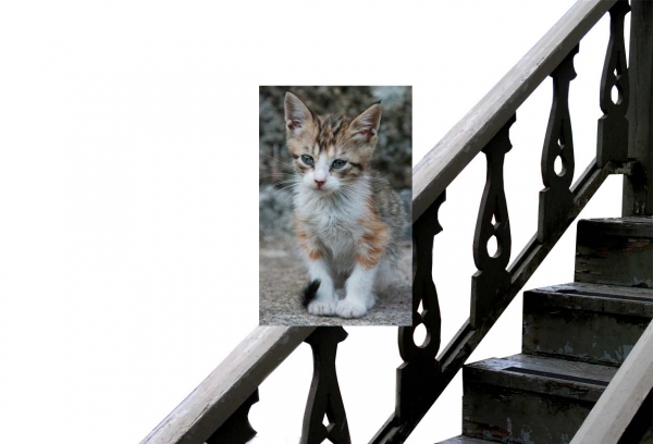 Creation of Curiosity: Step 5
